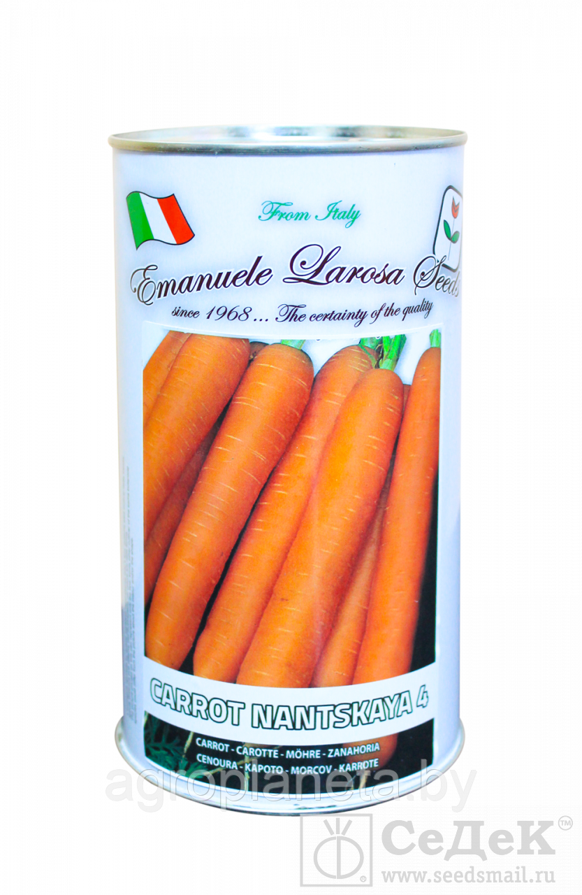 Семена моркови НАНТСКАЯ 4 (Италия), 500 г