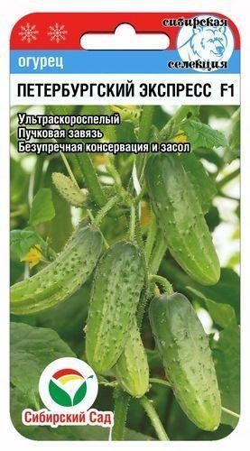 Огурец "Петербургский экспресс" F1, 7 шт. СибСад