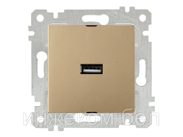 Розетка 1-ая USB (скрытая, без рамки) золото, RITA, MUTLUSAN (USB-зарядка, 5V-2.1A) - фото 1 - id-p146038894
