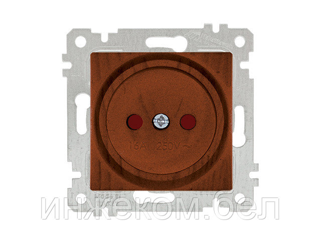 Розетка 1-ая (скрытая, без рамки, б/з, шторки) орех, RITA, MUTLUSAN (10 A, 250 V, IP 20) - фото 1 - id-p146036294