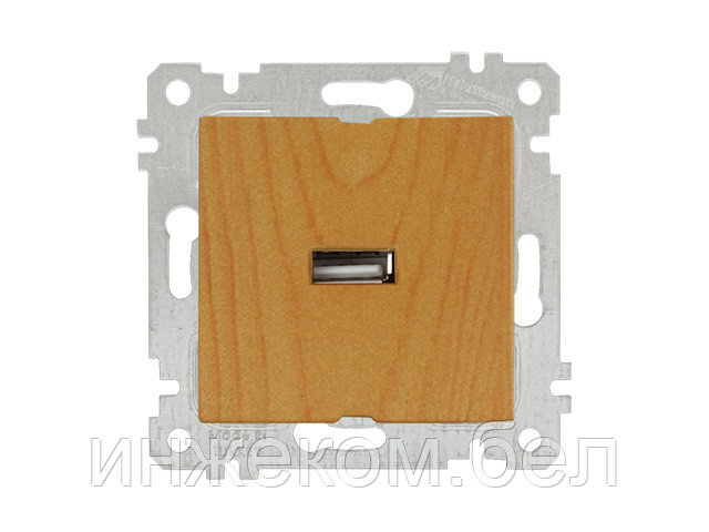 Розетка 1-ая USB (скрытая, без рамки) дуб, RITA, MUTLUSAN (USB-зарядка, 5V-2.1A) - фото 1 - id-p146036329