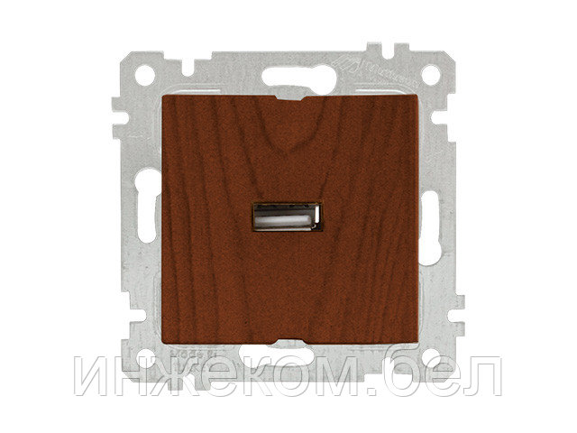 Розетка 1-ая USB (скрытая, без рамки) орех, RITA, MUTLUSAN (USB-зарядка, 5V-2.1A) - фото 1 - id-p146036332