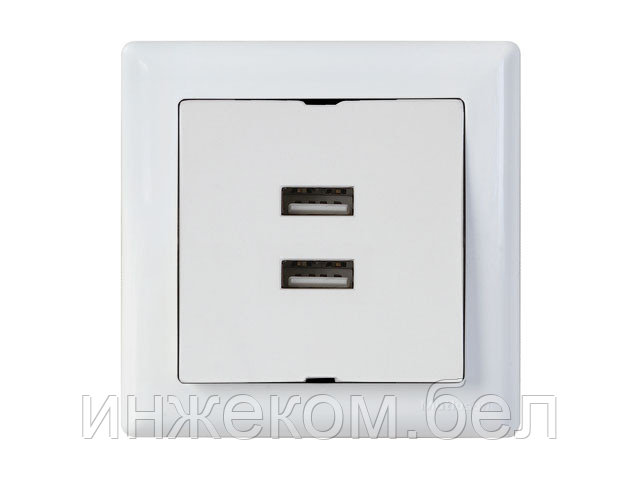 Розетка компьютерная 2хUSB (скрытая, горизонт.) белая, DARIA, MUTLUSAN (2xUSB , 5V-1.0A) - фото 1 - id-p146037484