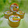 Гель универсальный для лица и тела с экстрактом сладкого апельсина DR MEINAIER Sweet Orange Soothing Gel 99,, фото 4