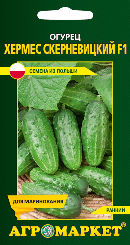 Огурец Хермес F1, 1г. (25257)