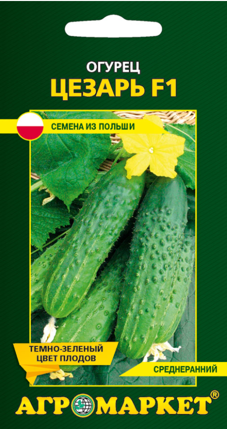 Огурец Цезарь F1, 1г. (17309)