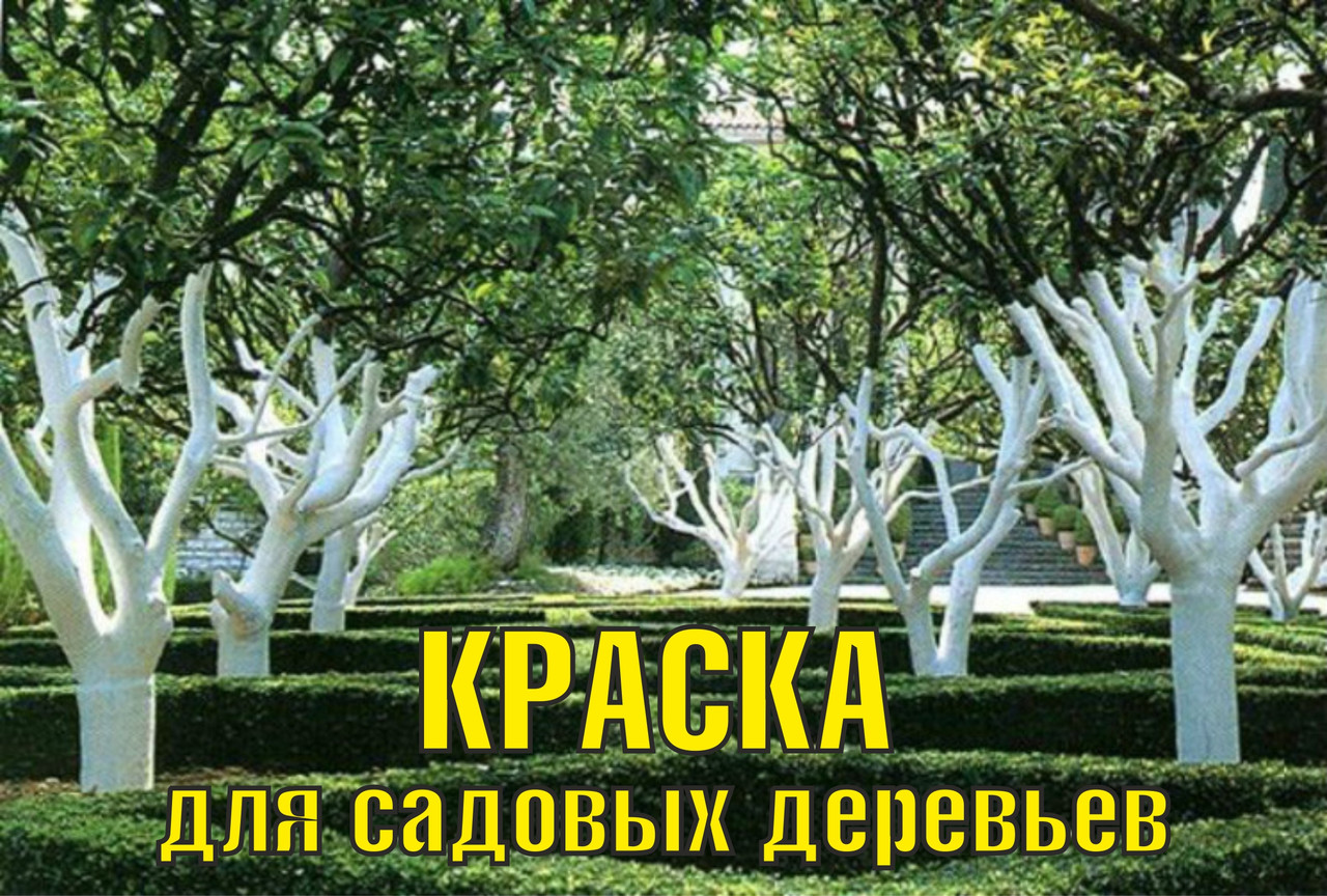 Краска акриловая для деревьев 14кг (цена с НДС) - фото 1 - id-p146375268