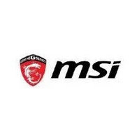 Завесы (петли) для ноутбуков MSI