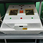 Инкубатор бытовой Квочка МИ-30-1-ЭЛ полуавтомат, ламповый, фото 3