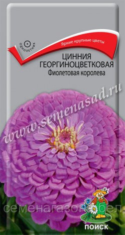 Цинния георгиноцветковая Фиолетовая королева (0,4 г)