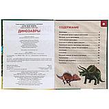 «Динозавры» из серии «Хочу всё знать» (энциклопедия с развивающими заданиями А4) , "Умка", твёрдый переплёт., фото 2