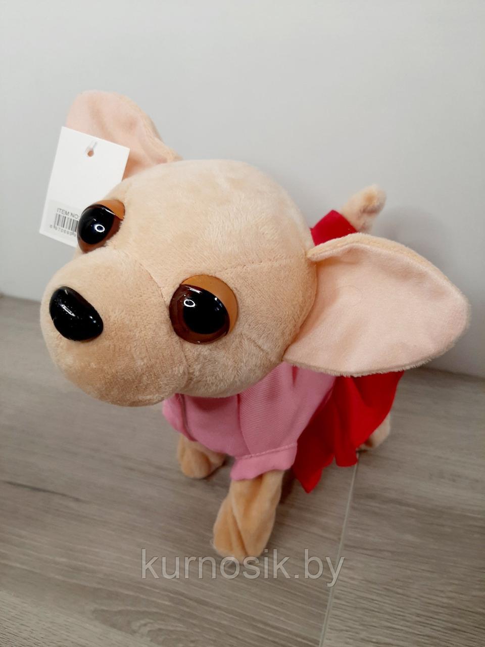 Интерактивная мягкая Собачка Чи Чи Лав в платье на поводке - фото 9 - id-p146601686