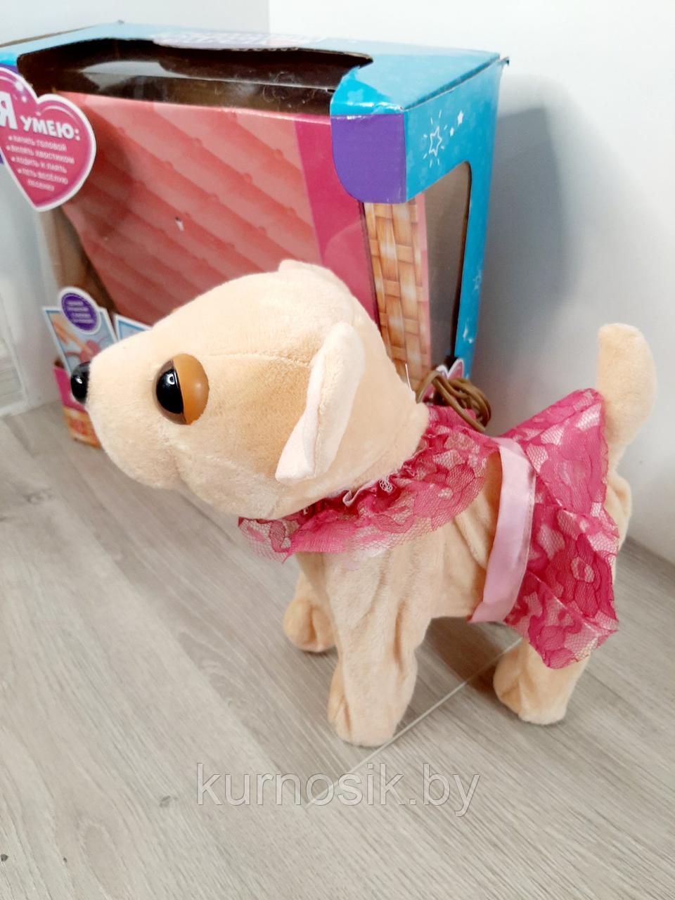 Интерактивная мягкая Собачка Чи Чи Лав в платье на поводке - фото 2 - id-p146601686