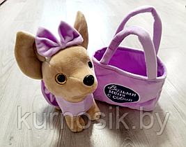 Интерактивная мягкая Собачка Чи Чи Лав в сумочке фиолетовая