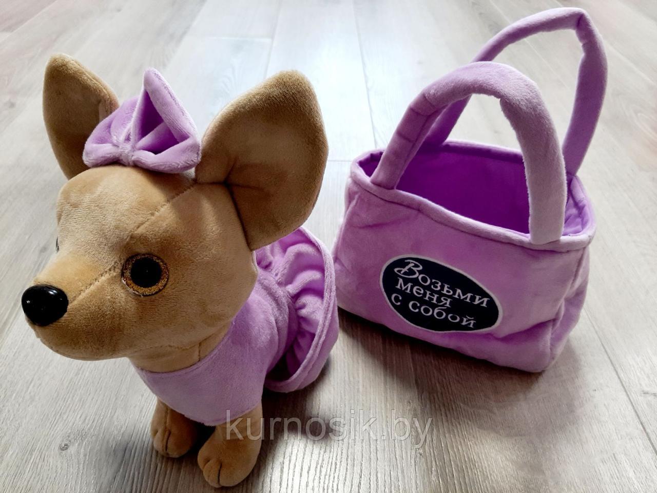 Интерактивная мягкая Собачка Чи Чи Лав в сумочке фиолетовая - фото 3 - id-p146601750