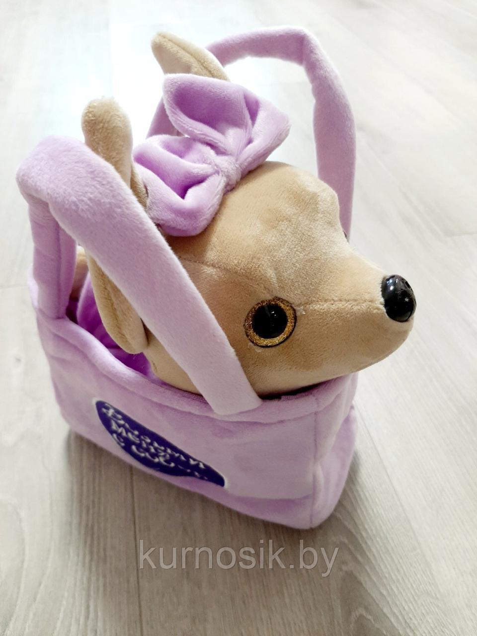 Интерактивная мягкая Собачка Чи Чи Лав в сумочке фиолетовая - фото 10 - id-p146601750