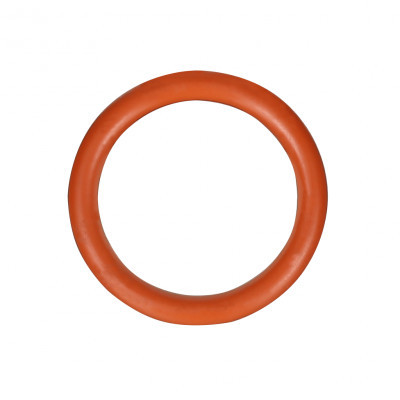 Уплотнительное кольцо FPM