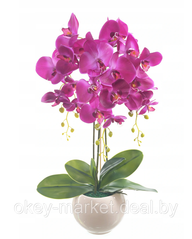 Цветочная композиция из орхидей в горшке R-76 - фото 2 - id-p146879478