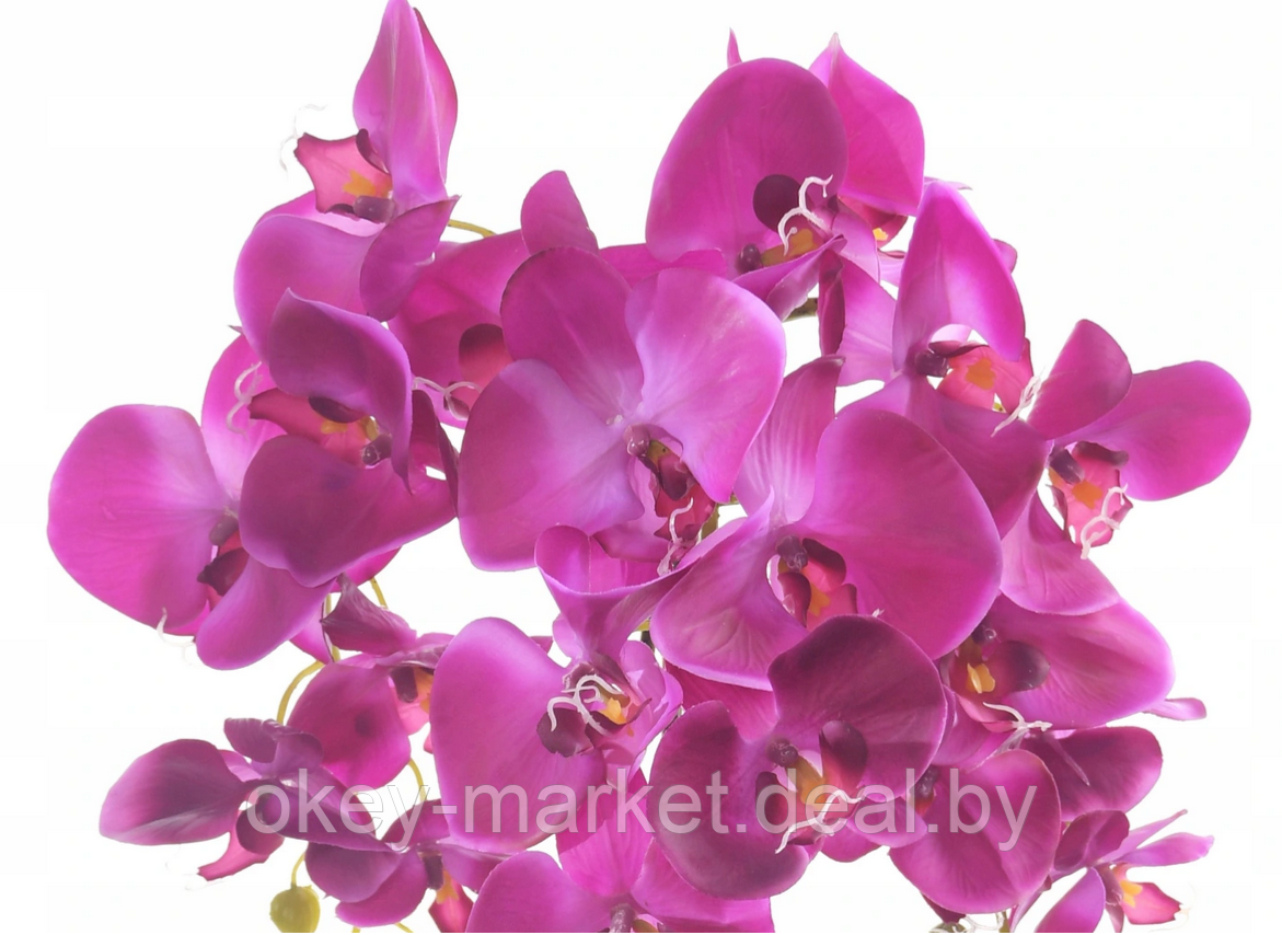 Цветочная композиция из орхидей в горшке R-76 - фото 4 - id-p146879478