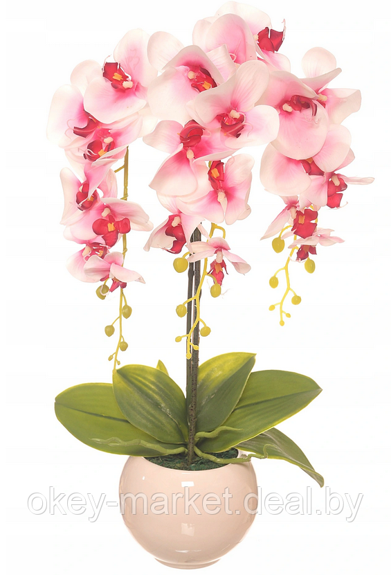 Цветочная композиция из орхидей в горшке R-74 - фото 4 - id-p146885759