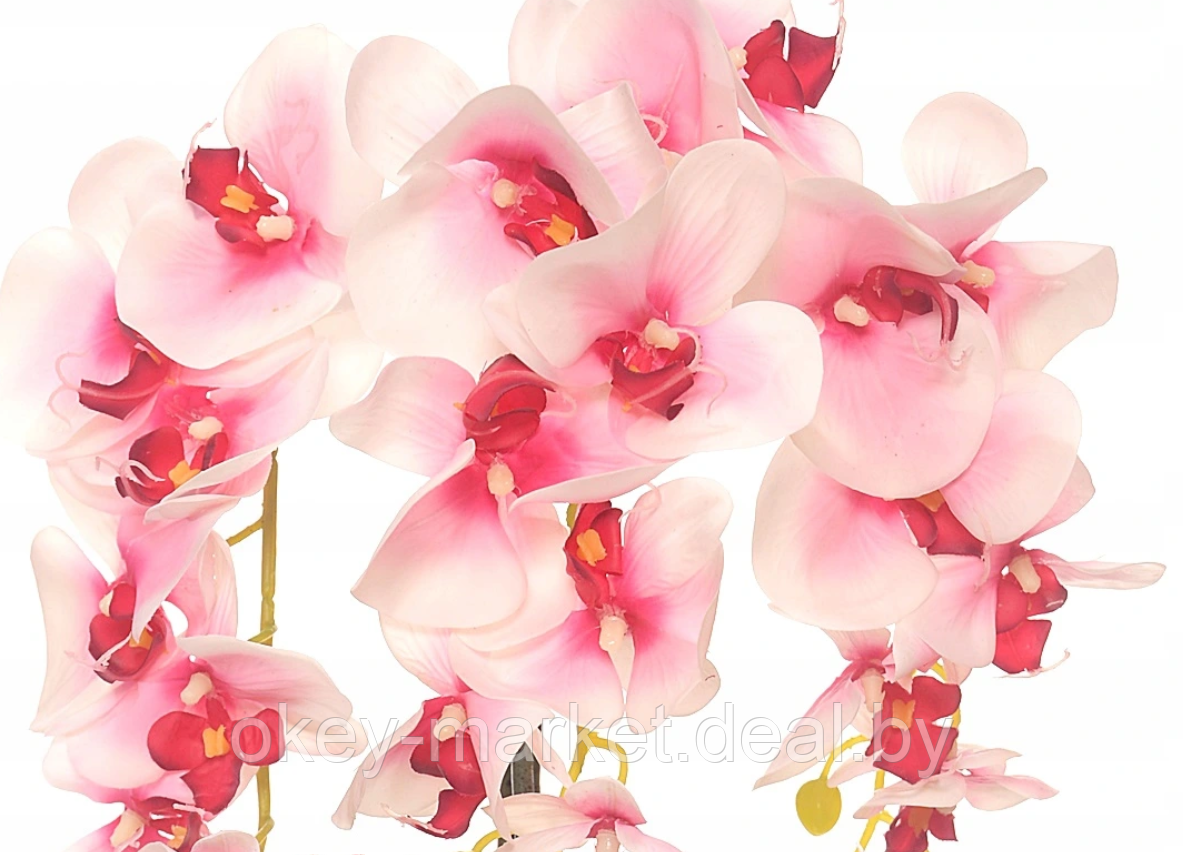 Цветочная композиция из орхидей в горшке R-74 - фото 6 - id-p146885759