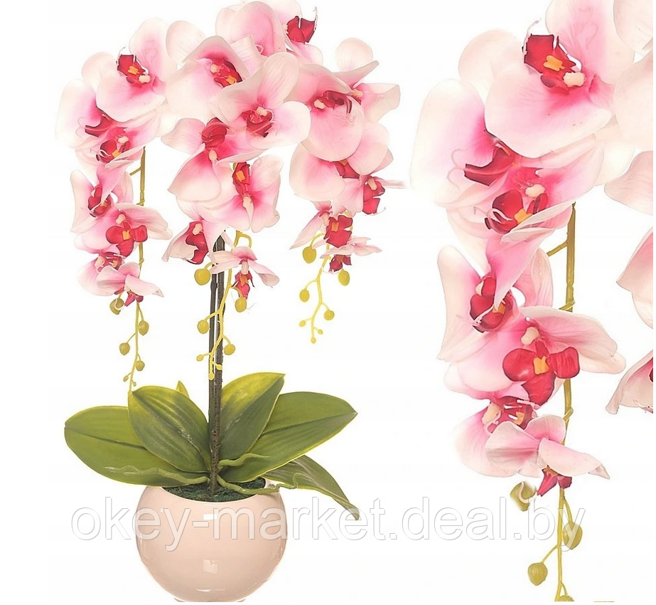 Цветочная композиция из орхидей в горшке R-74 - фото 5 - id-p146885759