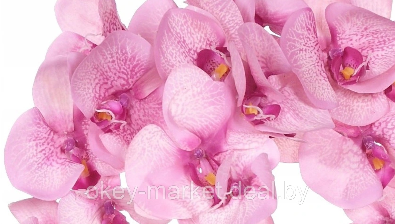 Цветочная композиция из орхидей в горшке R-711 - фото 4 - id-p146894722