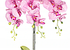Цветочная композиция из орхидей в горшке R-711, фото 2