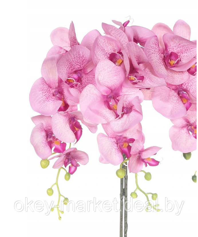 Цветочная композиция из орхидей в горшке R-711 - фото 7 - id-p146894722