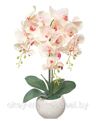 Цветочная композиция из орхидей в горшке W-15, фото 3