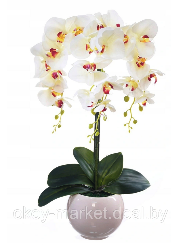 Цветочная композиция из орхидей в горшке W-14