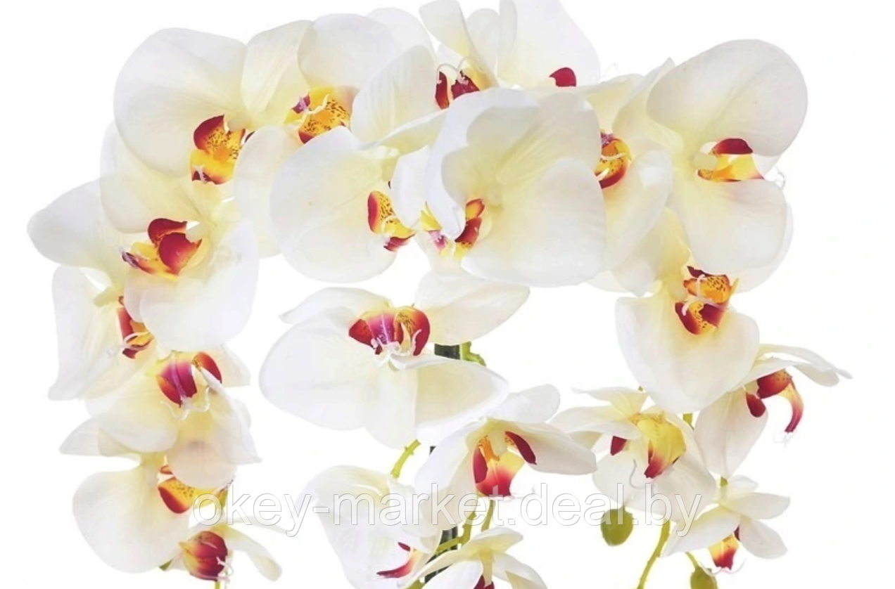 Цветочная композиция из орхидей в горшке W-14 - фото 5 - id-p146900988