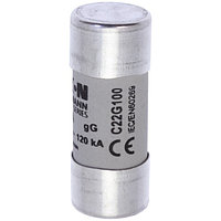 Вставка плавкая цилиндр., 100A, 500VAC, 22x58mm, тип gG