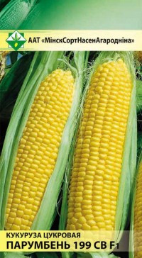 Семена Кукуруза сахарная Порумбень 199 СВ F1 (4 гр) МССО