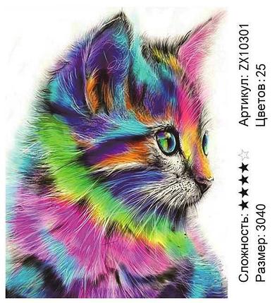 Алмазная живопись на подрамнике 30х40 Радужный котенок (ZX10301), фото 2
