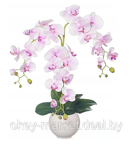 Цветочная композиция из орхидей в горшке R-813