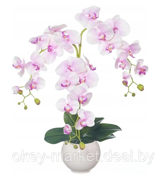 Цветочная композиция из орхидей в горшке R-813 - фото 1 - id-p147154158