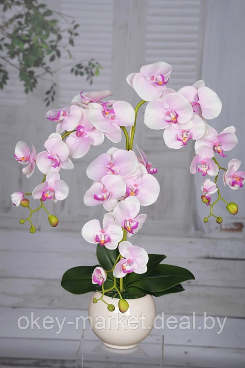 Цветочная композиция из орхидей в горшке R-813 - фото 3 - id-p147154158