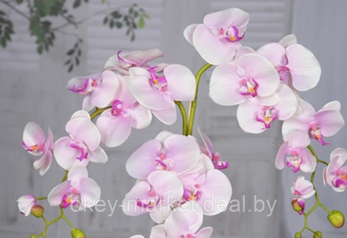 Цветочная композиция из орхидей в горшке R-813 - фото 4 - id-p147154158