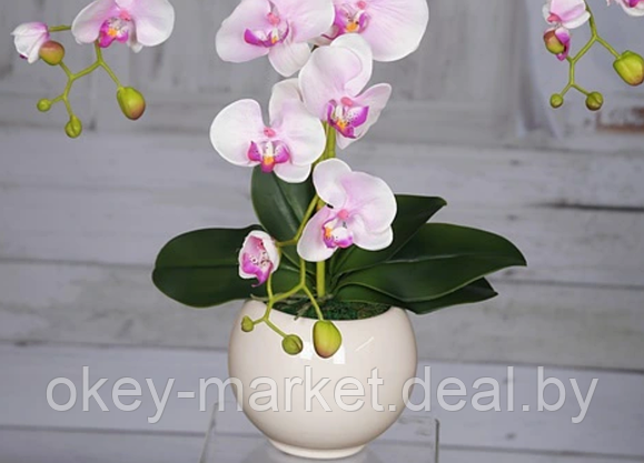 Цветочная композиция из орхидей в горшке R-813, фото 3
