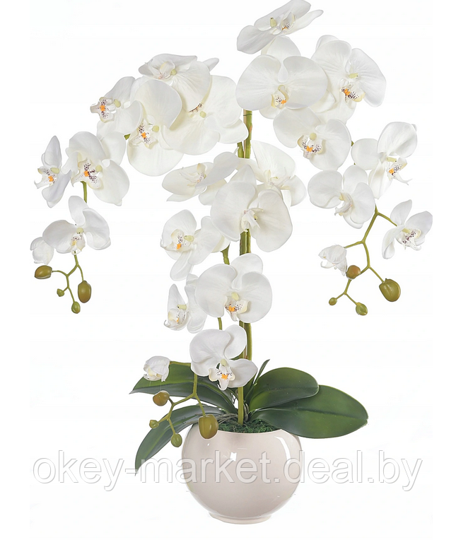 Цветочная композиция из орхидей в горшке R-814 - фото 1 - id-p147155420