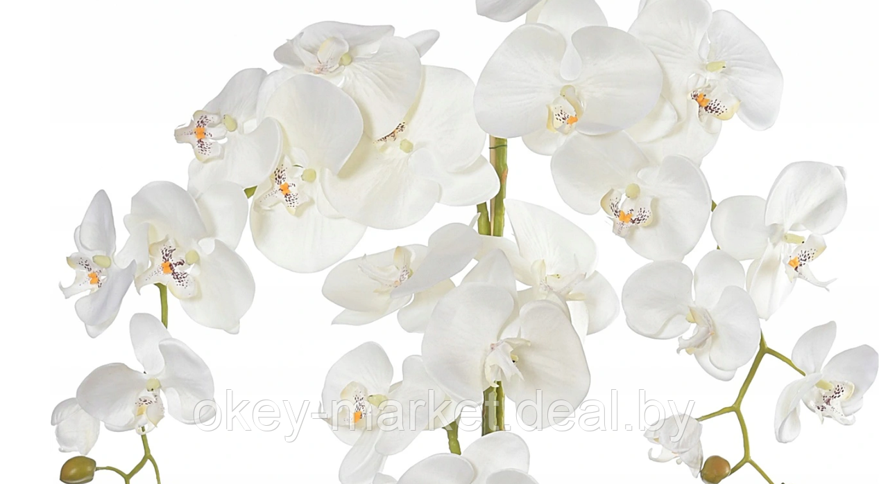 Цветочная композиция из орхидей в горшке R-814 - фото 3 - id-p147155420