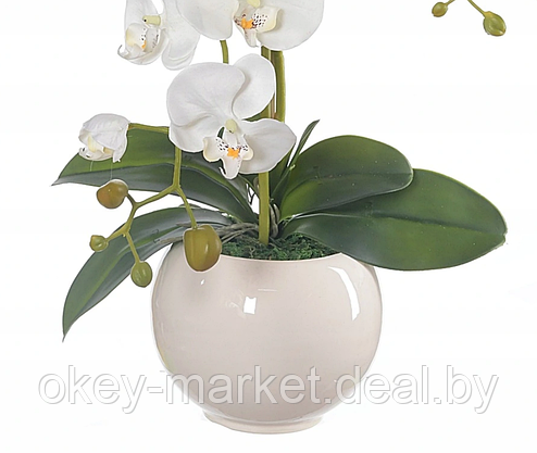 Цветочная композиция из орхидей в горшке R-814, фото 3