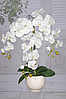 Цветочная композиция из орхидей в горшке R-814, фото 2
