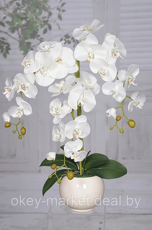 Цветочная композиция из орхидей в горшке R-814 - фото 6 - id-p147155420