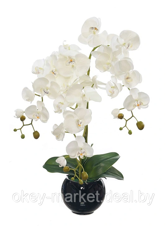Цветочная композиция из орхидей в горшке R-815 - фото 1 - id-p147155515