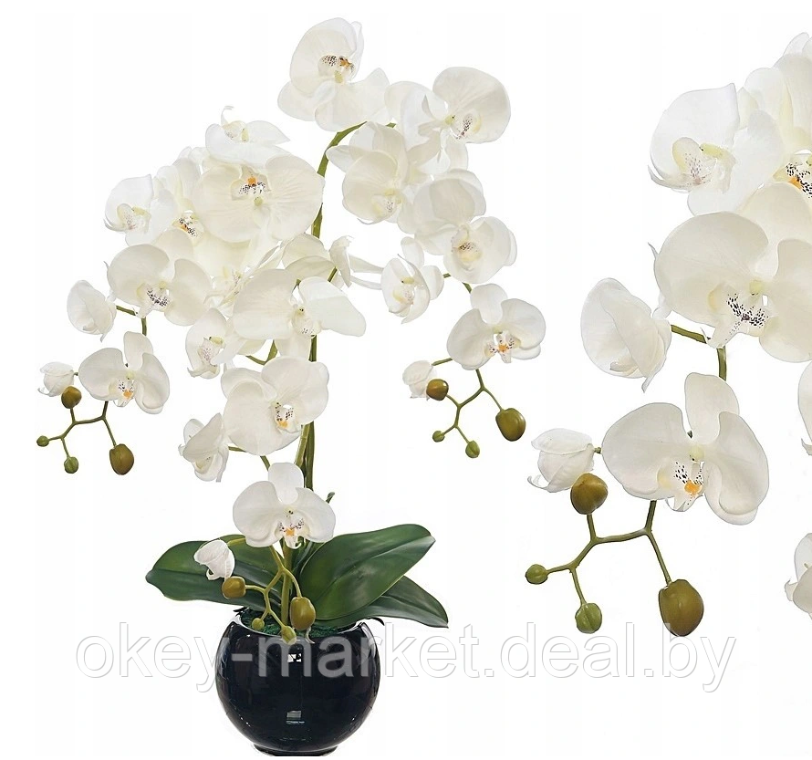 Цветочная композиция из орхидей в горшке R-815 - фото 2 - id-p147155515