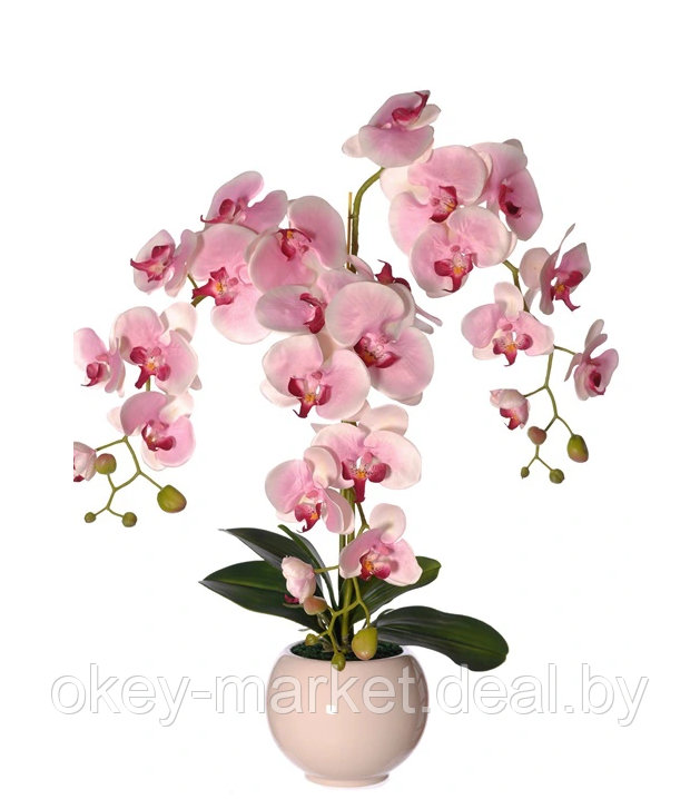 Цветочная композиция из орхидей в горшке R-816 - фото 1 - id-p147155543