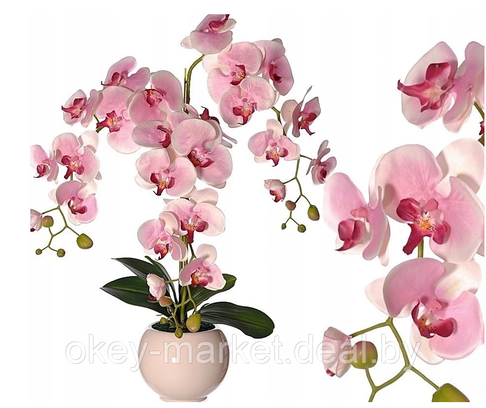 Цветочная композиция из орхидей в горшке R-816 - фото 2 - id-p147155543