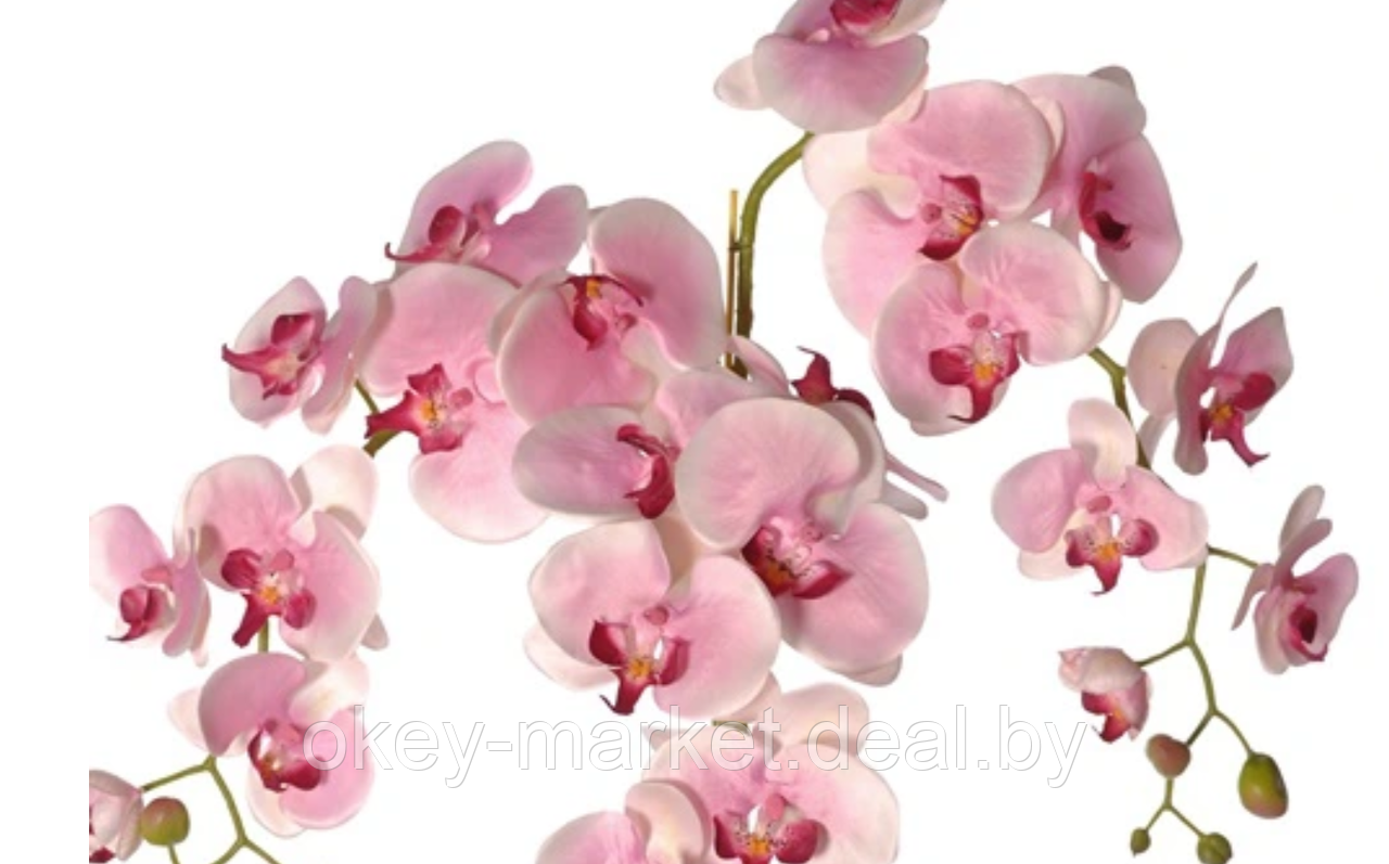 Цветочная композиция из орхидей в горшке R-816 - фото 3 - id-p147155543